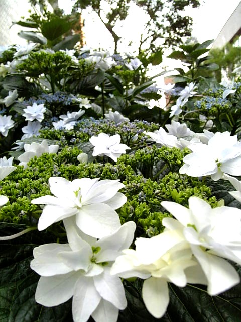 080605-1753.jpg